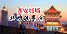 大鸡巴阿宾中国陕西-西安城墙旅游风景区